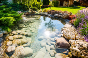 beautiful pond, with stones and beautiful flowers around the pond.