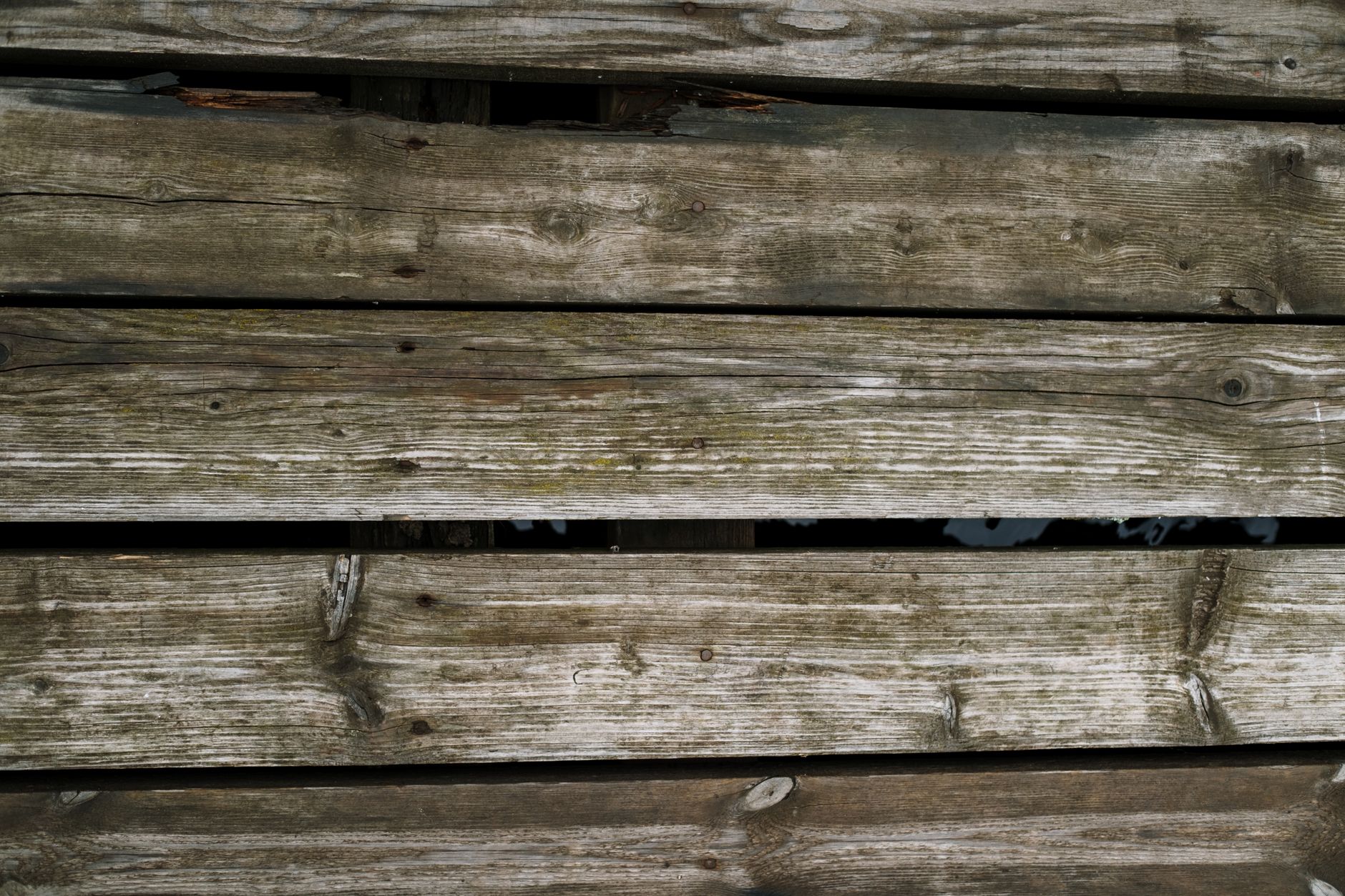 Rotted and soft wood deck boards showing signs a deck needs repair