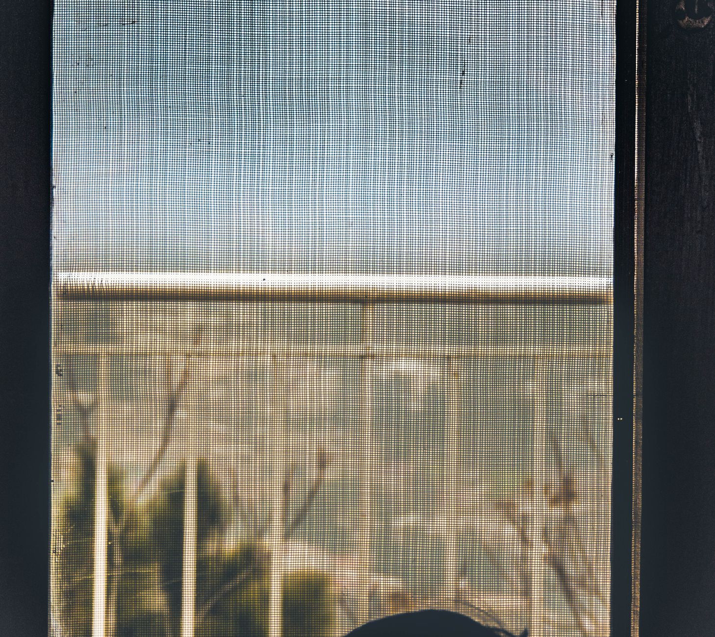 Screened porch with mesh screening for mosquito protection in New Orleans