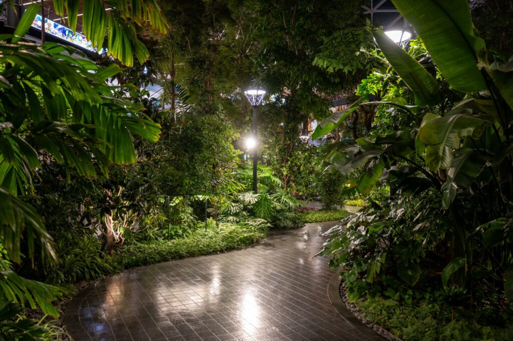 Garden pathway lit by low-level landscape lighting among planting at night