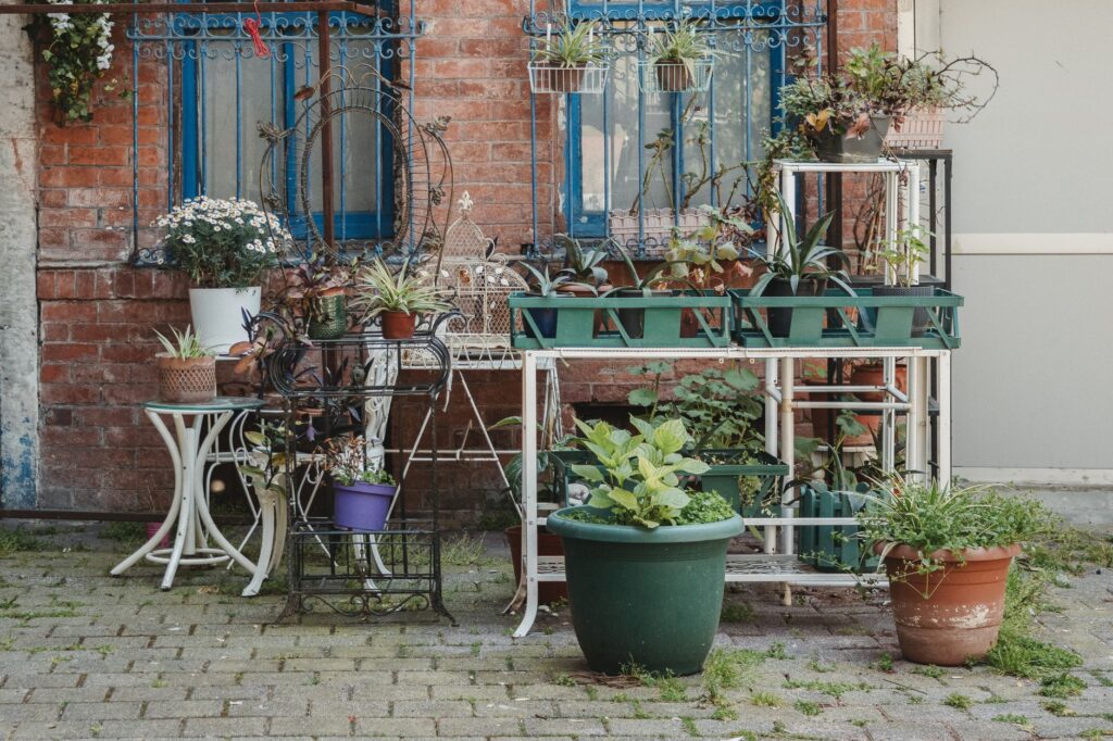 Potted plants and planters arranged along the edge of a brick paved patio
